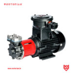 MDW Magnetic Pump | Ultra-High Temperature Magnetic Driven Vortex Pump 400°C