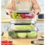 PET Vegetable Storage Box Mold